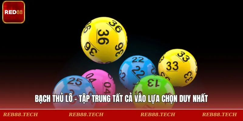 Bạch Thủ Lô - Tập Trung Tất Cả Vào Lựa Chọn Duy Nhất