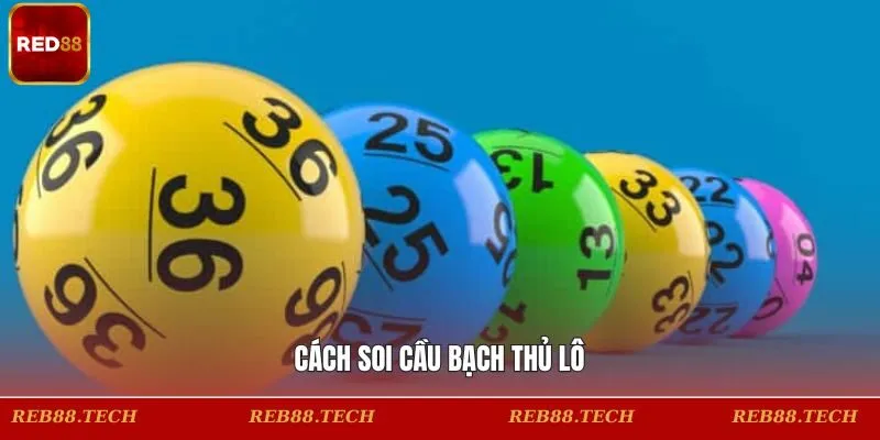 Các phương pháp soi bạch thủ lô ấn tượng