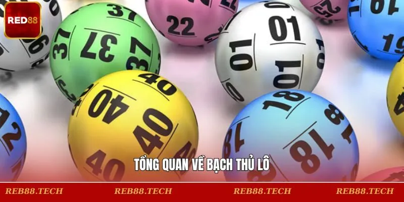 Khái niệm sơ lược về lô bạch thủ
