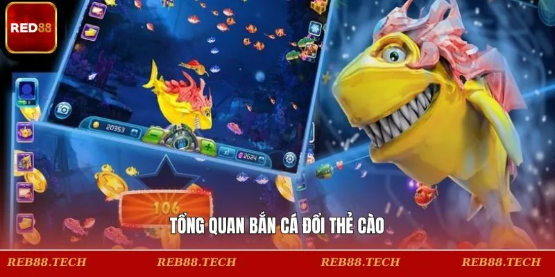 Khái quát sơ lược về hình thức săn cá đổi thẻ