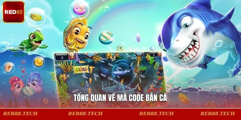Khái quát sơ lược về thẻ code săn cá