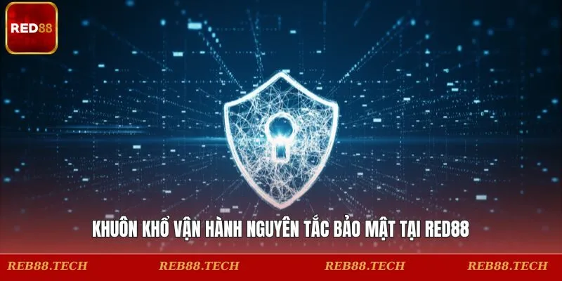 Khuôn khổ vận hành nguyên tắc bảo mật tại RED88
