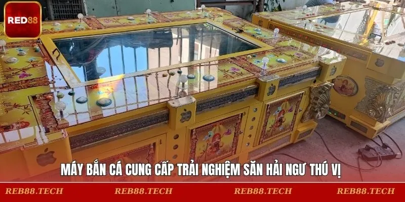 Máy Bắn Cá Cung Cấp Trải Nghiệm Săn Hải Ngư Thú Vị