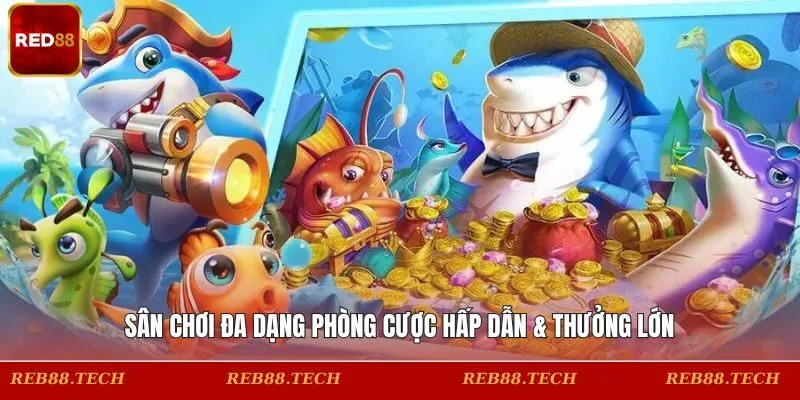 Sân chơi đa dạng phòng cược hấp dẫn & thưởng lớn