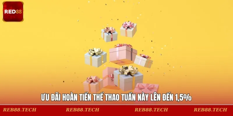 Ưu đãi hoàn tiền thể thao tuần này lên đến 1,5%