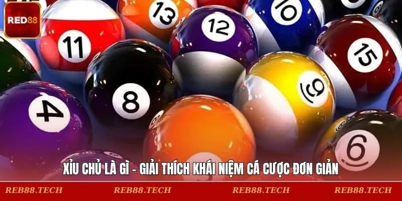 Xỉu Chủ Là Gì - Giải Thích Khái Niệm Cá Cược Đơn Giản